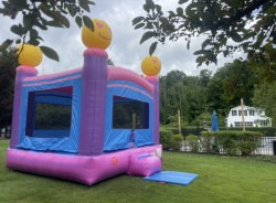 IMG 4056 1740787027 big 1748539277 13 x 13 Pink & Purple Bounce House
